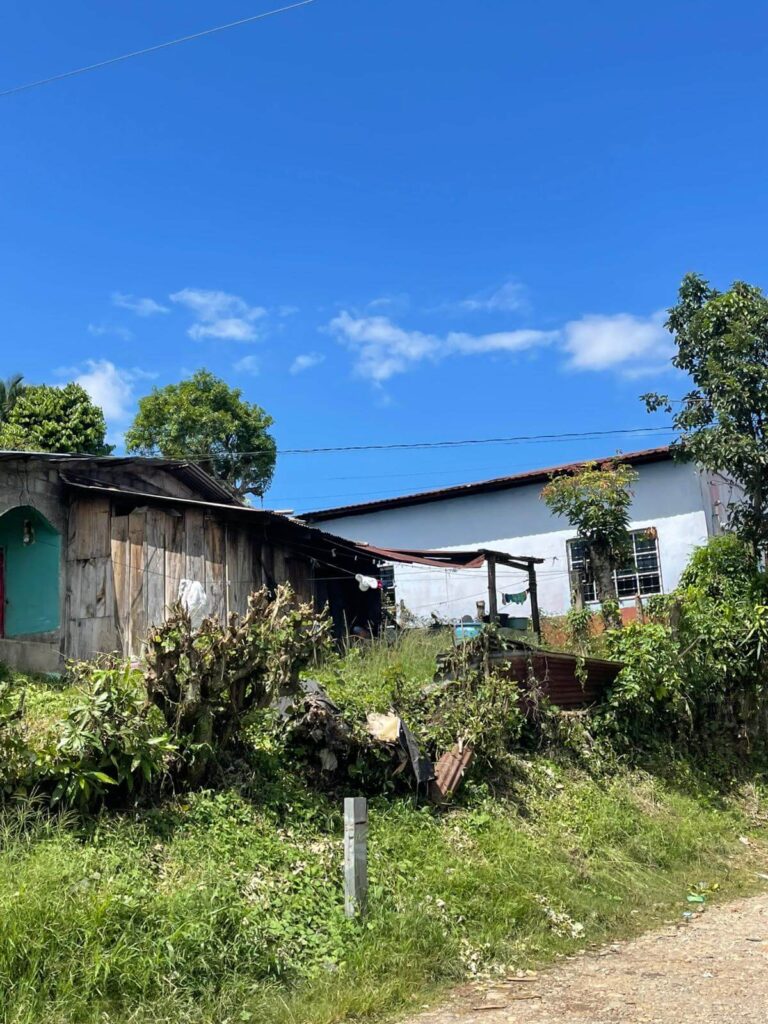 Encantadora sencillez Charming Simplicity