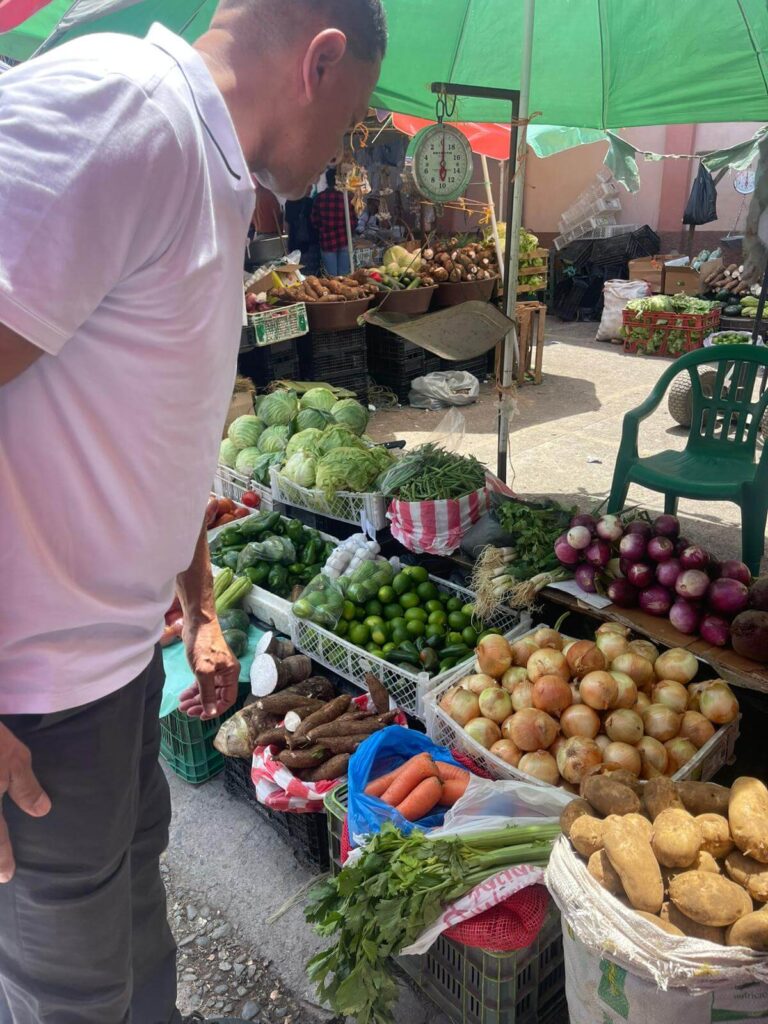 Recién llegados del mercado Fresh from the Market