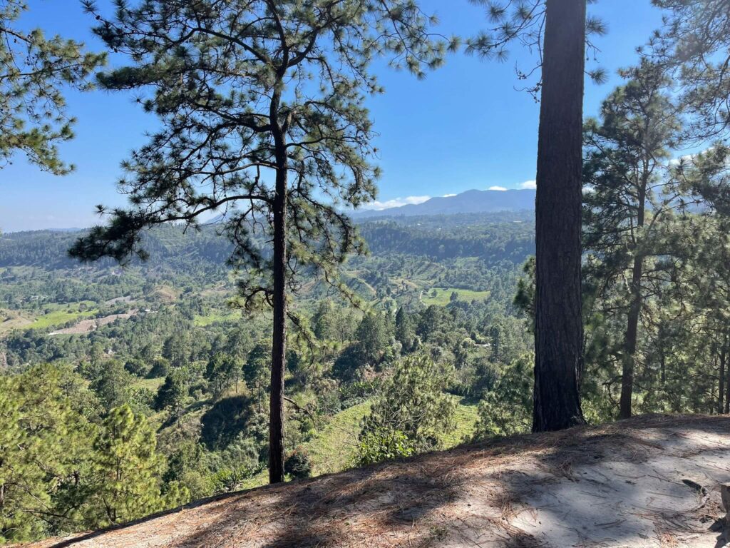 Vista de la montaña Mountain View